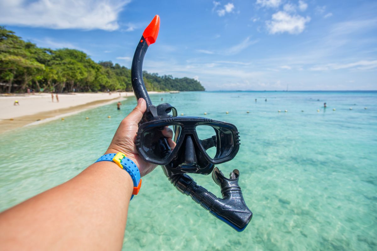 Equipo básico de snorkel: máscara, tubo y aletas
